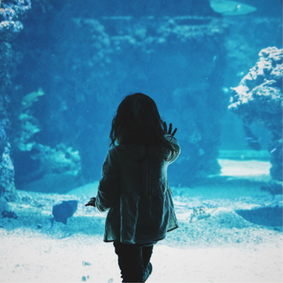 Single person standing infront of large aquarium touching the glass